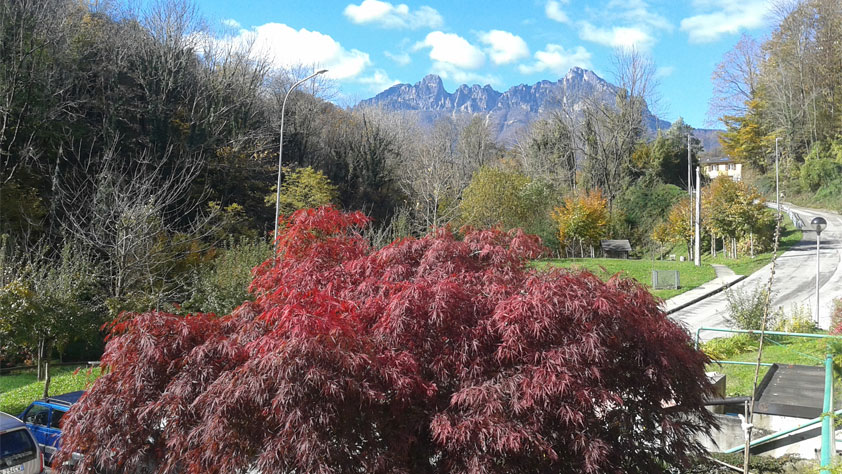 foto passeggiata